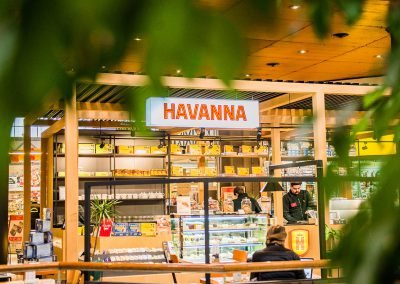 Havanna La Dehesa